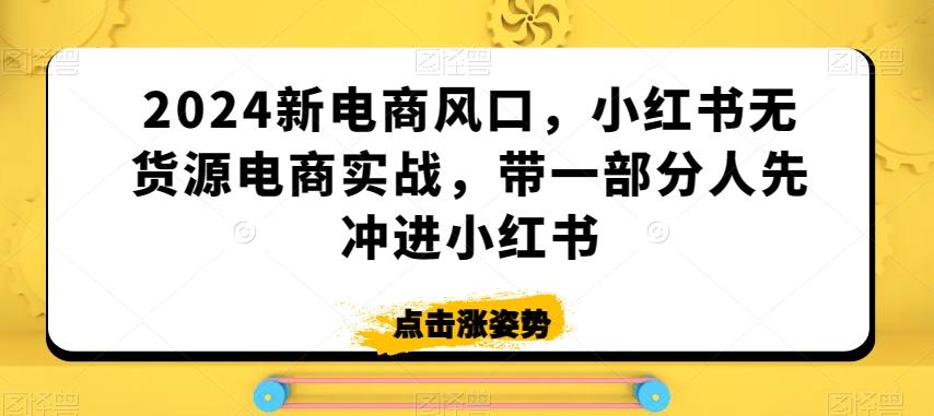 2024新电商风口，小红书无货源电商实战，带一部分人先冲进小红书-点子口袋网