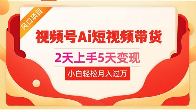 2天上手5天变现视频号Ai短视频带货0粉丝0基础小白轻松月入过万-点子口袋网