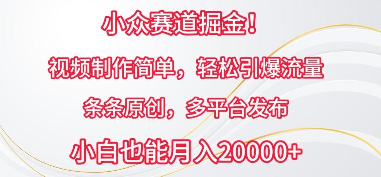 小众赛道掘金，视频制作简单，轻松引爆流量，条条原创，多平台发布【揭秘】-点子口袋网
