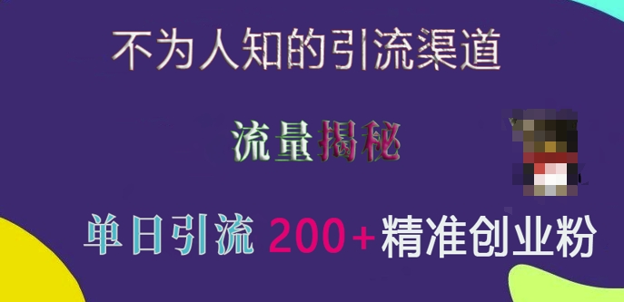 不为人知的引流渠道，流量揭秘，实测单日引流200+精准创业粉【揭秘】-点子口袋网