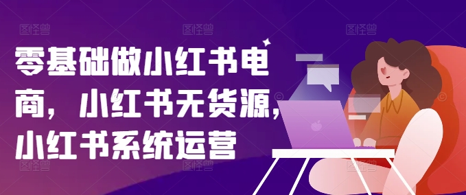 零基础做小红书电商，小红书无货源，小红书系统运营-点子口袋网
