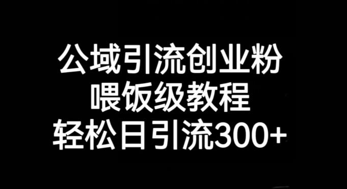 公域引流创业粉，喂饭级教程，轻松日引流300+【揭秘】-点子口袋网