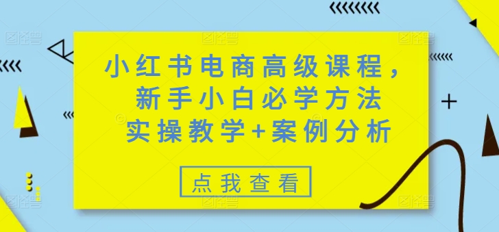 小红书电商高级课程，新手小白必学方法，实操教学+案例分析-点子口袋网