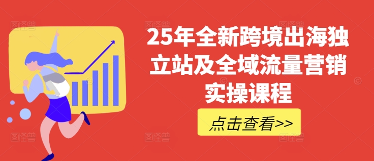 25年全新跨境出海独立站及全域流量营销实操课程，跨境电商独立站TIKTOK全域营销普货特货玩法大全-点子口袋网