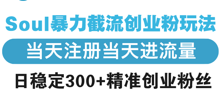 Soul暴力截流创业粉玩法，当天注册当天进流量，日稳定300+精准创业粉丝-点子口袋网