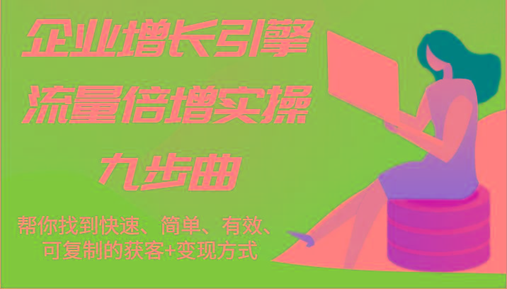 企业增长引擎流量倍增实操九步曲，帮你找到快速、简单、有效、可复制的获客+变现方式-点子口袋网