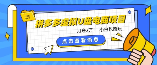 拼多多虚拟U盘电商红利项目：月赚2万+，新手小白也能玩-点子口袋网