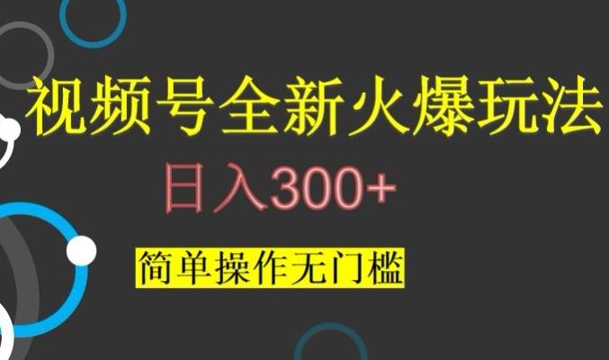 视频号最新爆火玩法，日入300+，简单操作无门槛【揭秘】-点子口袋网