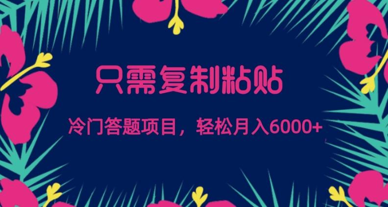 只需复制粘贴，冷门答题项目，轻松月入6000-点子口袋网