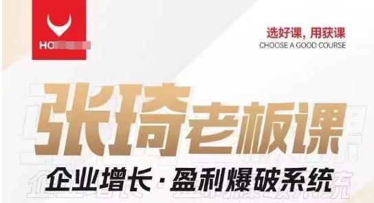【组合课】张琦张琦老板企业增长·盈利爆破系统（直播专享）-点子口袋网