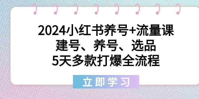 2024小红书养号+流量课：建号、养号、选品，5天多款打爆全流程-点子口袋网