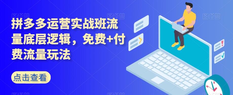 拼多多运营实战班流量底层逻辑，免费+付费流量玩法-点子口袋网