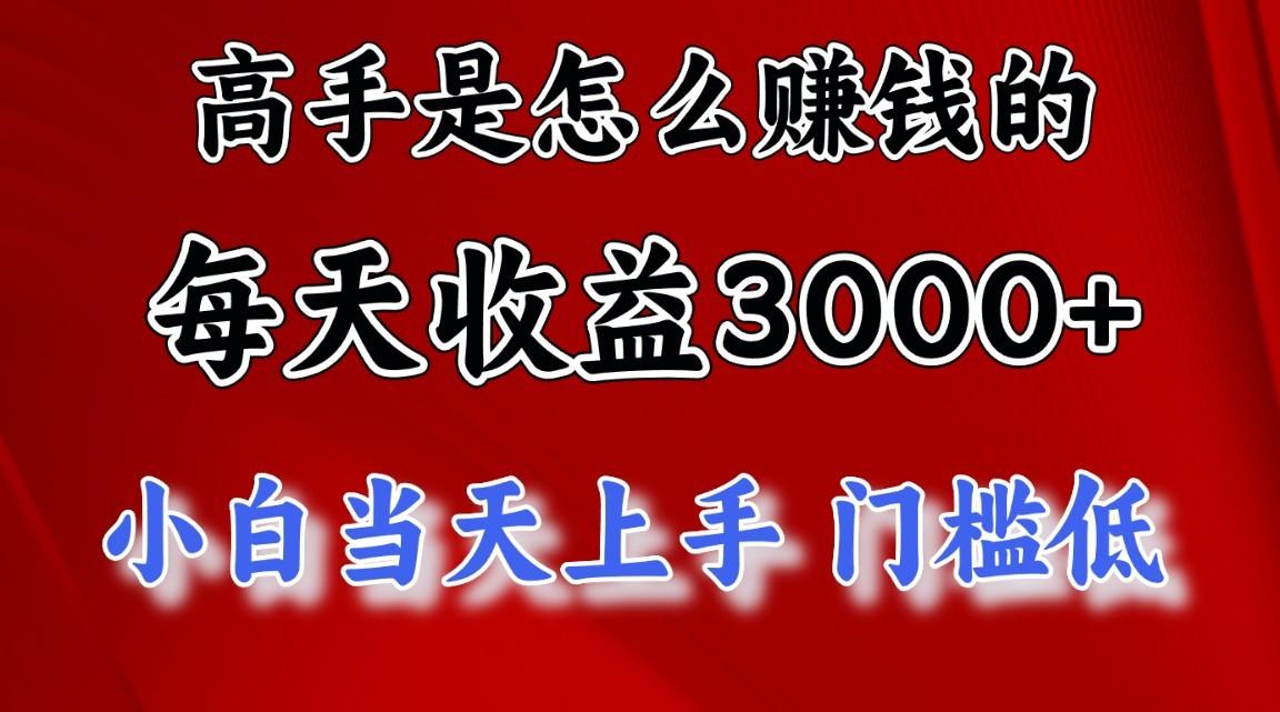 高手是怎么赚钱的，一天收益3000+，闷声发财项目，不是一般人能看懂的-点子口袋网