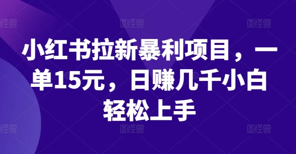小红书拉新暴利项目，一单15元，日赚几千小白轻松上手【揭秘】-点子口袋网