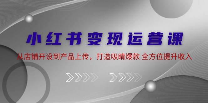 小红书变现运营课：从店铺开设到产品上传，打造吸睛爆款 全方位提升收入-点子口袋网