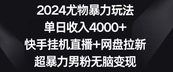 2024尤物暴力玩法，单日收入4000+，快手挂机直播+网盘拉新，超暴力男粉无脑变现【揭秘】-点子口袋网