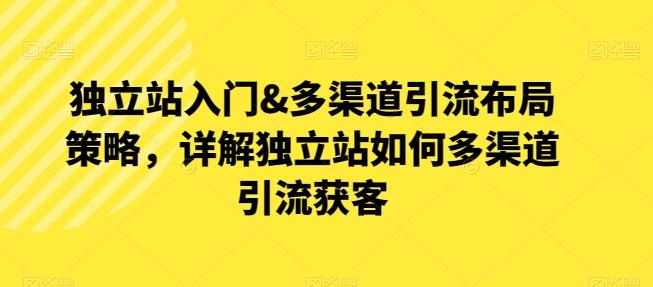 独立站入门&多渠道引流布局策略，详解独立站如何多渠道引流获客-点子口袋网