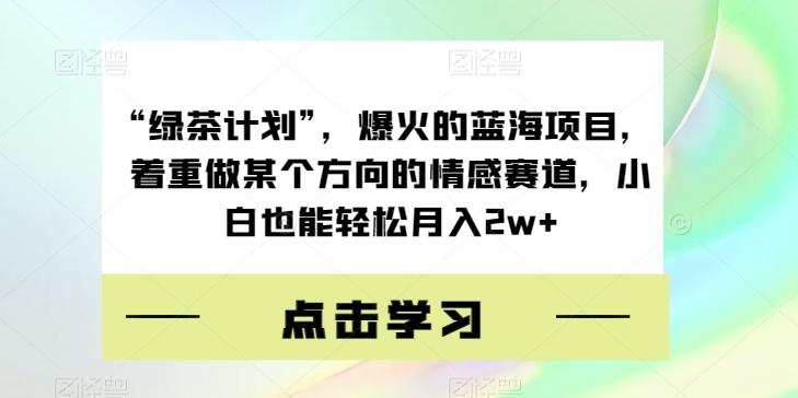 “绿茶计划”，爆火的蓝海项目，着重做某个方向的情感赛道，小白也能轻松月入2w+【揭秘】-点子口袋网