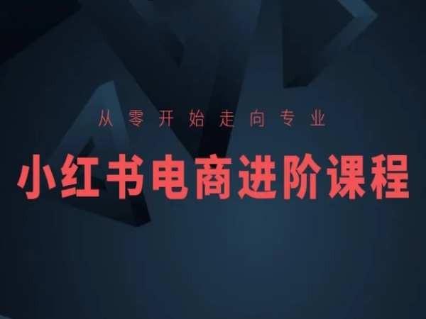 从零开始走向专业，小红书电商进阶课程-点子口袋网