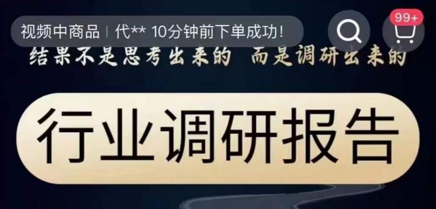 行业调研报告，结果不是思考出来的而是调研出来的-点子口袋网