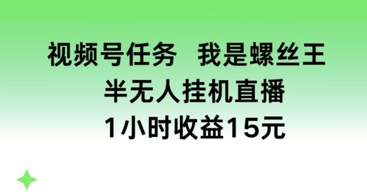 视频号任务，我是螺丝王， 半无人挂机1小时收益15元【揭秘】-点子口袋网