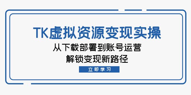 TK虚拟资料变现实操：从下载部署到账号运营，解锁变现新路径-点子口袋网