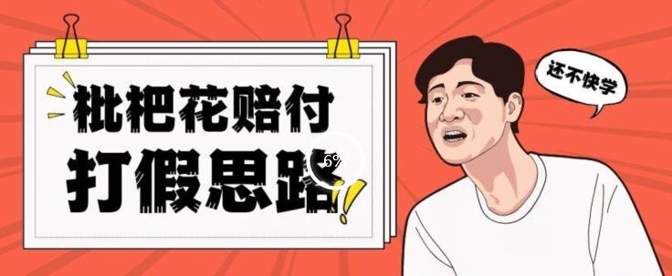 最新打假原料枇杷花赔付玩法一单收益1000+小白轻松下车【详细视频玩法教程】【仅揭秘】-点子口袋网
