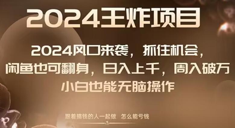 2024风口项目来袭，抓住机会，闲鱼也可翻身，日入上千，周入破万，小白也能无脑操作-点子口袋网