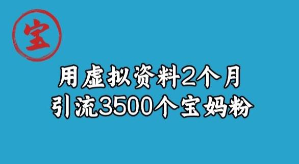宝哥虚拟资料项目，2个月引流3500个宝妈粉-点子口袋网