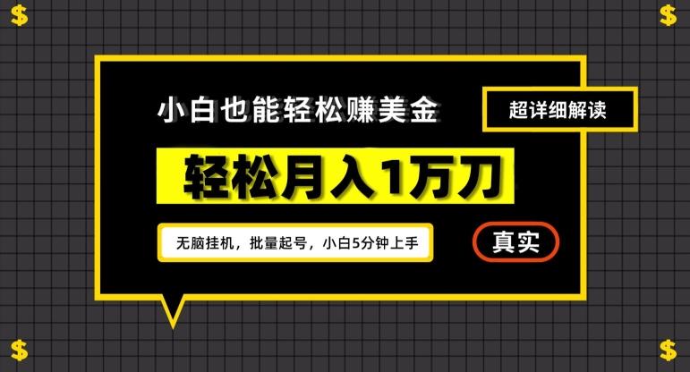 谷歌看广告撸美金2.0，无脑挂机，多号操作，月入1万刀【揭秘】-点子口袋网