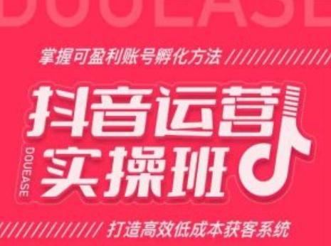 抖音运营实操班，掌握可盈利账号孵化方法，打造高效低成本获客系统-点子口袋网