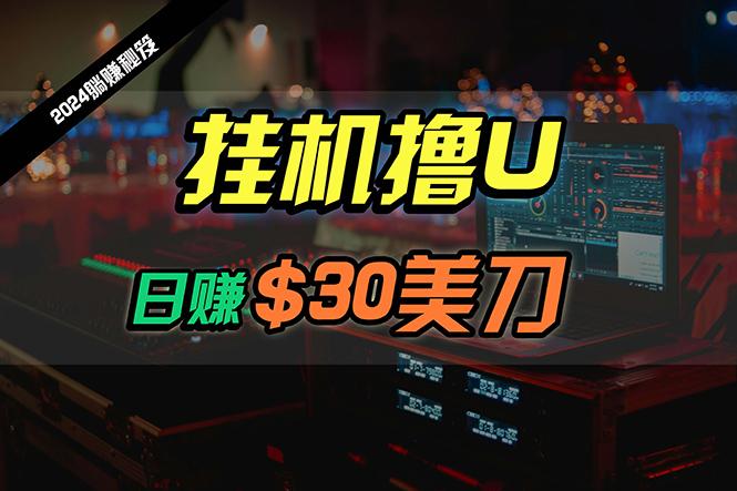 (10013期)日赚30美刀，2024最新海外挂机撸U内部项目，全程无人值守，可批量放大-点子口袋网
