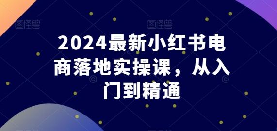 2024最新小红书电商落地实操课，从入门到精通-点子口袋网