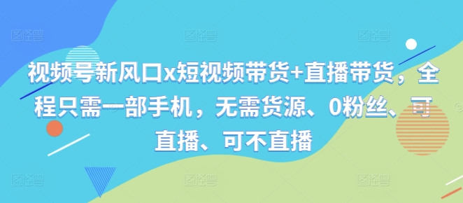 视频号新风口x短视频带货+直播带货，全程只需一部手机，无需货源、0粉丝、可直播、可不直播-点子口袋网