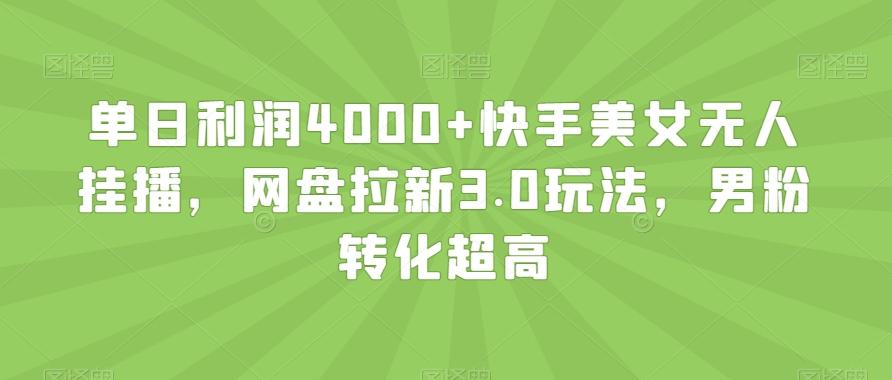 单日利润4000+快手美女无人挂播，网盘拉新3.0玩法，男粉转化超高【揭秘】-点子口袋网
