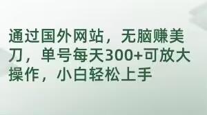 通过国外网站，无脑赚美刀，单号每天300+可放大操作，小白轻松上手【揭秘】-点子口袋网