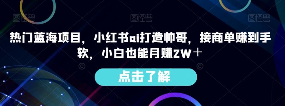 热门蓝海项目，小红书ai打造帅哥，接商单赚到手软，小白也能月赚2W＋-点子口袋网
