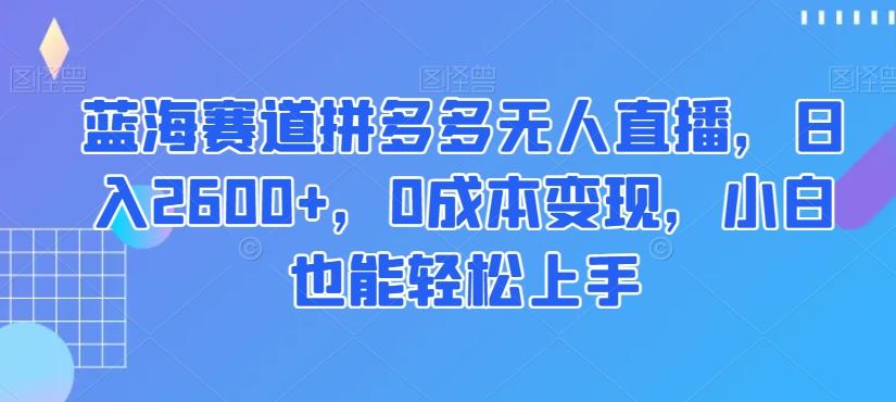 蓝海赛道拼多多无人直播，日入2600+，0成本变现，小白也能轻松上手【揭秘】-点子口袋网