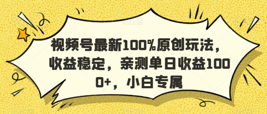 视频号最新100%原创玩法，收益稳定，亲测单日收益1000+，小白专属【揭秘】-点子口袋网