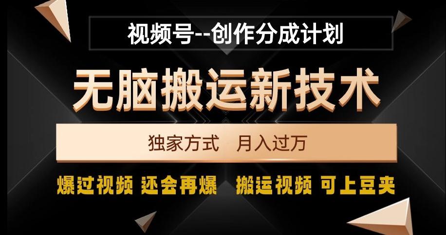 视频号无脑搬运新技术，破原创壕流量，独家方式，爆过视频，还会再爆【揭秘】-点子口袋网