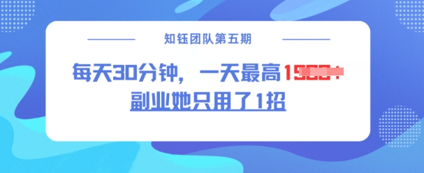 副业她只用了1招，每天30分钟，无脑二创，一天最高1.5k-点子口袋网