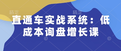 直通车实战系统：低成本询盘增长课，让个人通过技能实现升职加薪，让企业低成本获客，订单源源不断-点子口袋网