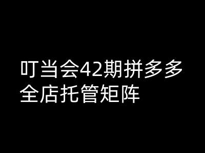 叮当会拼多多打爆班原创高阶技术第42期，拼多多全店托管矩阵-点子口袋网