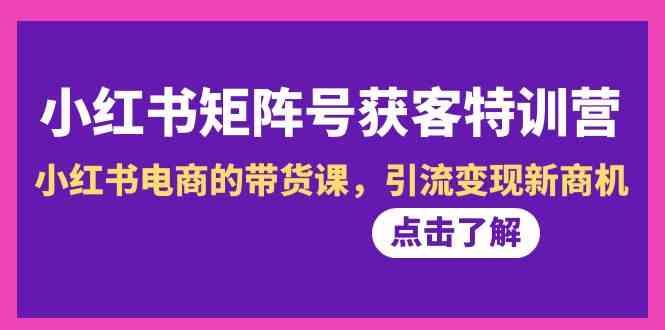 小红书矩阵号获客特训营-第10期，小红书电商的带货课，引流变现新商机-点子口袋网