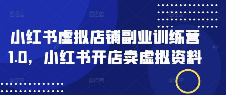 小红书虚拟店铺副业训练营1.0，小红书开店卖虚拟资料-点子口袋网