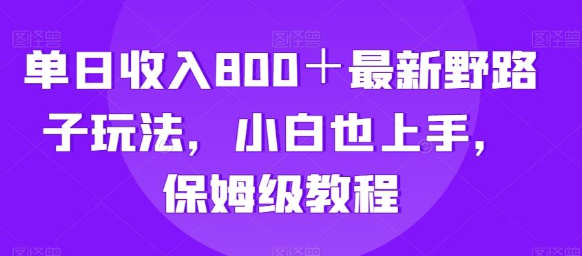 单日收入800＋最新野路子玩法，小白也上手，保姆级教程-点子口袋网