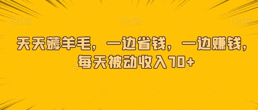 天天薅羊毛，一边省钱，一边赚钱，每天被动收入70+-点子口袋网