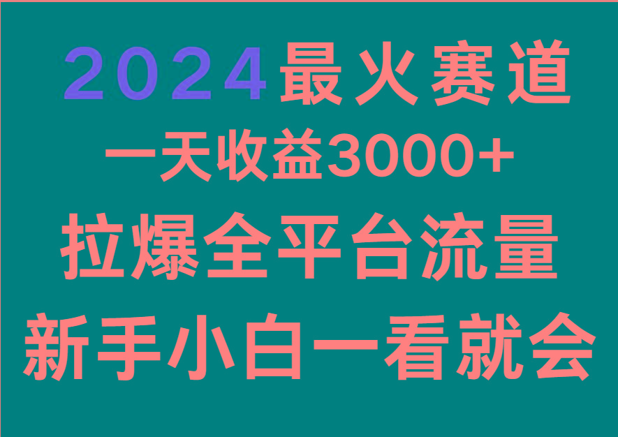2024最火赛道，一天收一3000+.拉爆全平台流量，新手小白一看就会-点子口袋网
