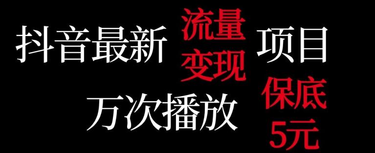 抖音流量变现，万次播放保底5元，额外收入-点子口袋网