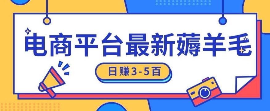 日赚300-500的电商平台薅羊毛新玩法，可重复操作，小白也可简单上手-点子口袋网